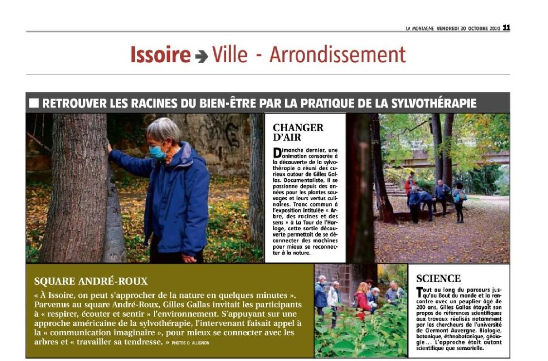 Une sortie sylvothérapie dans le journal local